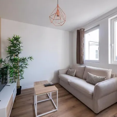 Appartamento L'escapade Strasbourgeoise - Magnifique Petit T2 Refait A Neuf *